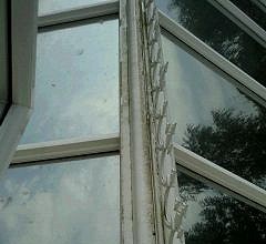 Before Conservatory Cleaning in Bexley and Sidcup